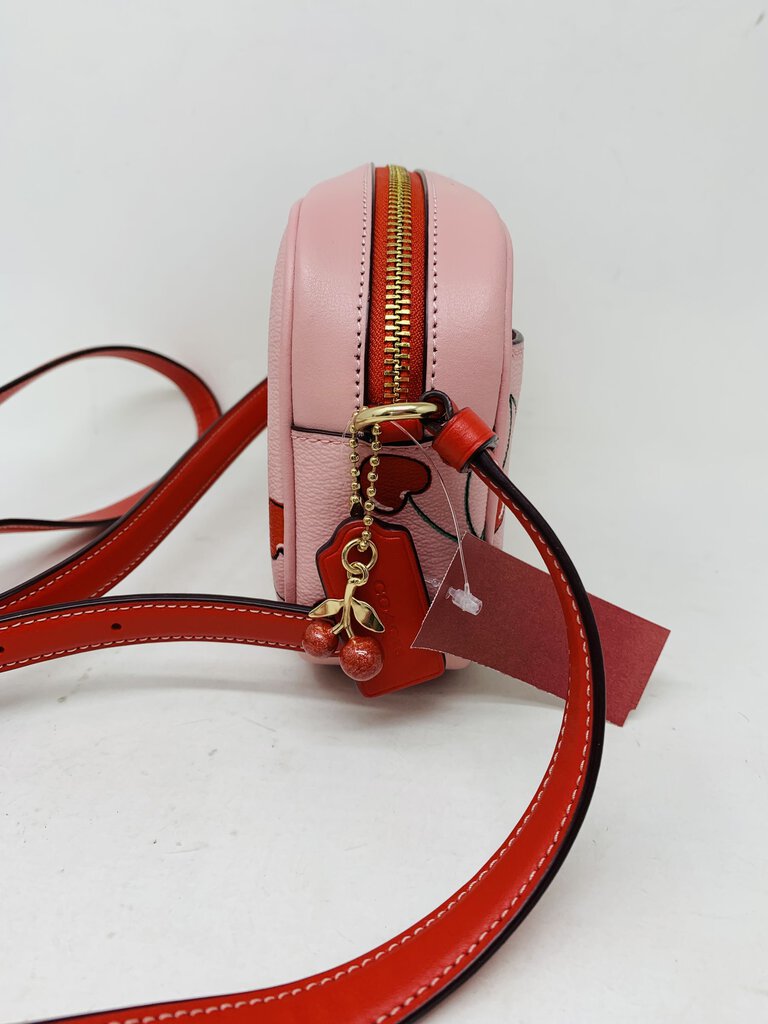 Coach Crossbody Bag Pink